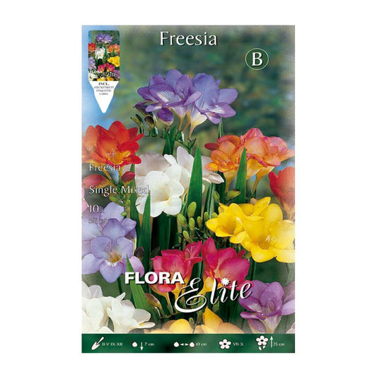 Bulbos Freesia doble mezcla Elite 10 uds