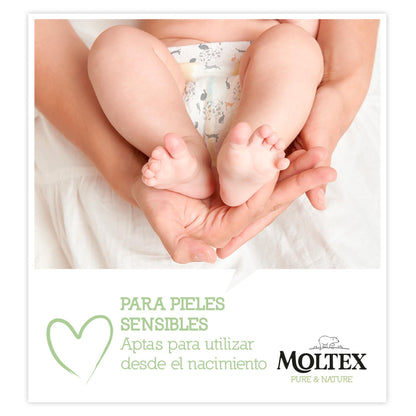 Pack 6 x Toallitas Moltex Pure & Nature 60 Uds
