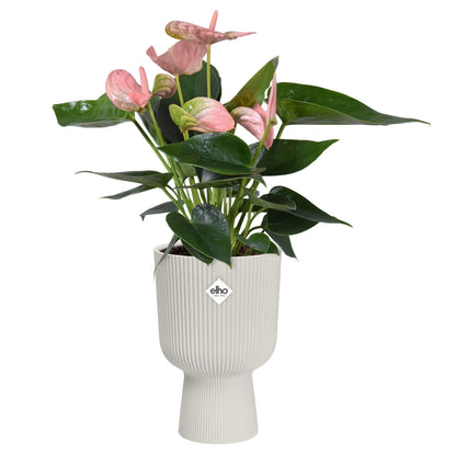 Macetero vibes fold coupe silky white Elho 14 cm