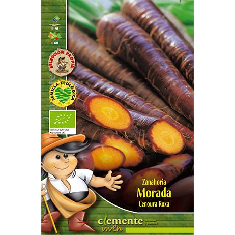 Semillas ecológicas de Zanahoria morada