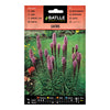 Semillas de  Liatris