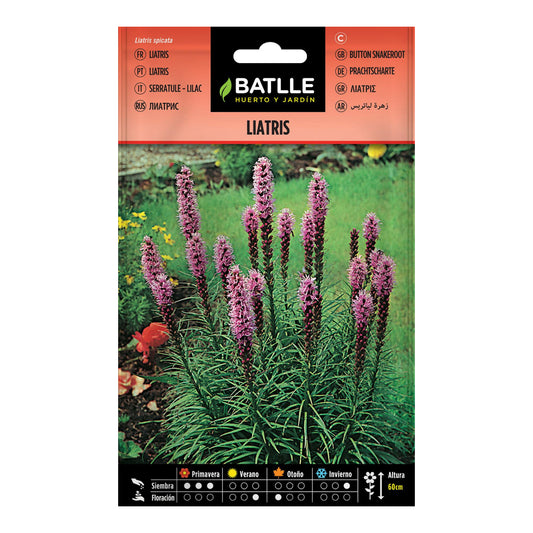 Semillas de  Liatris