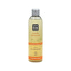 Champú tratamiento reparador Aguacate & Ginkgo Bio 250 ml NaturaBIO