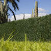 Seto artificial Dense bicolor 1x3 m