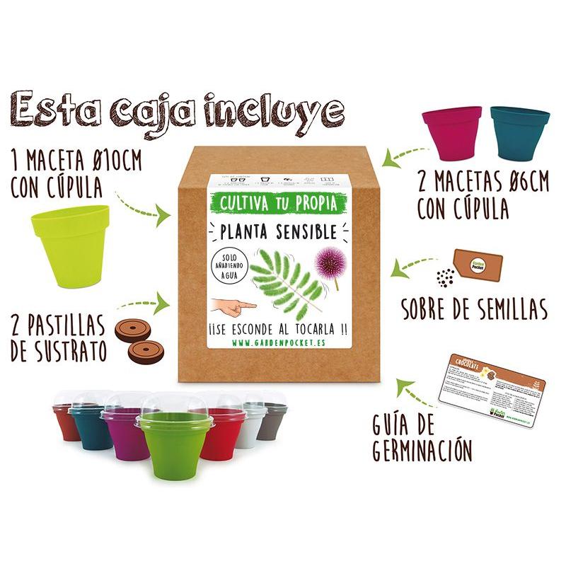 Kit siembra Planta sensible Garden Pocket