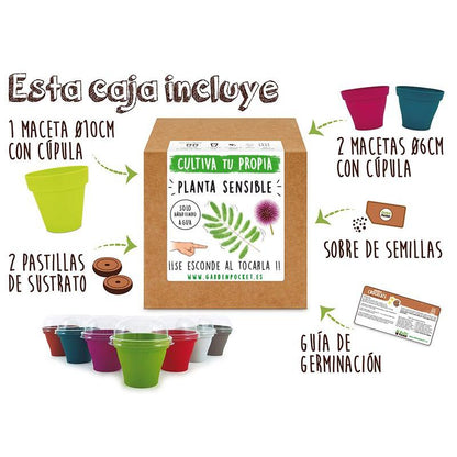 Kit siembra Planta sensible Garden Pocket