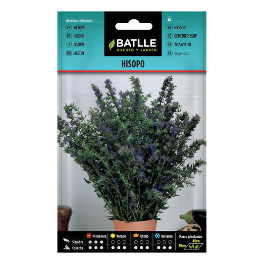 Semillas de Hisopo Batlle