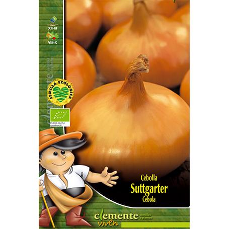 Semillas ecológicas de Cebolla Amarilla stuttgarter