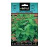 Semillas de  Hierbabuena (Menta Spicata)