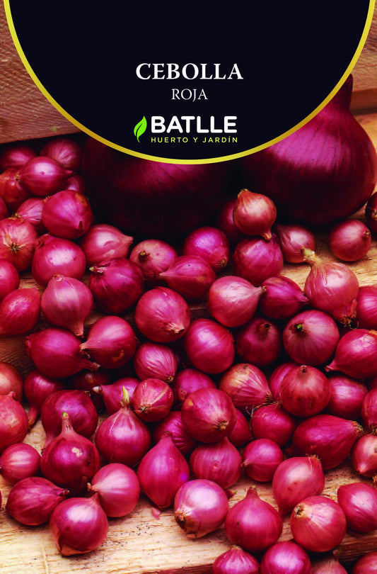 Bulbillo cebolla roja 200g