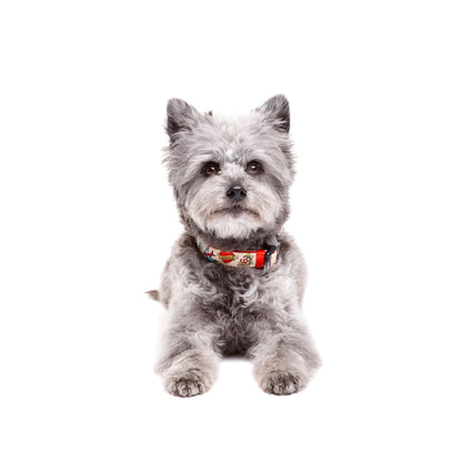 Collar para perro Tattoo Dukier
