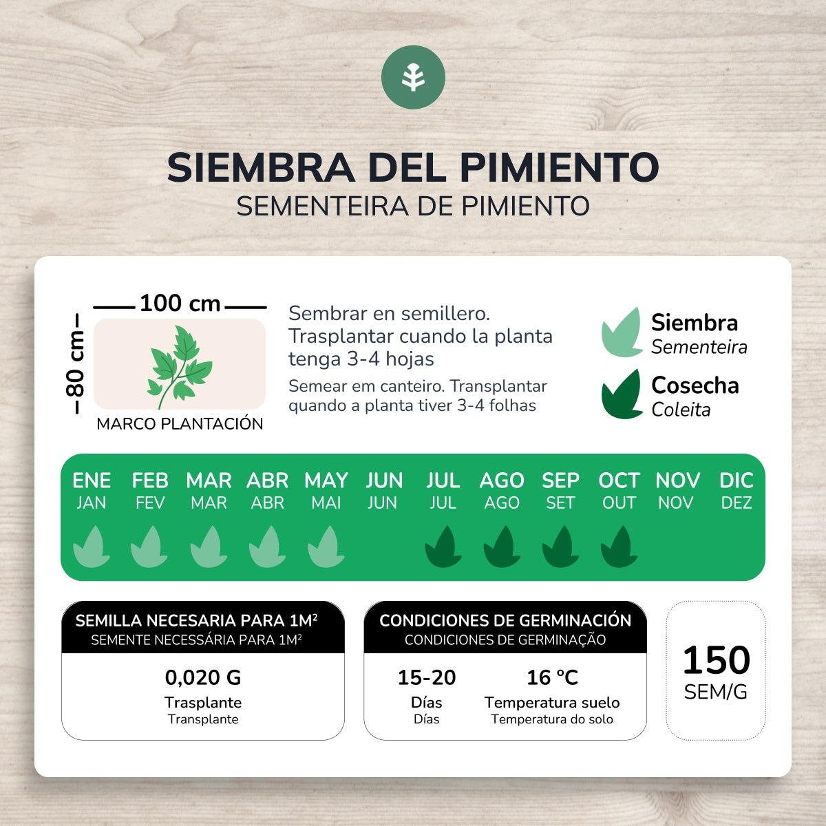 Semillas de Pimiento dulce italiano ecológicas Planeta Huerto