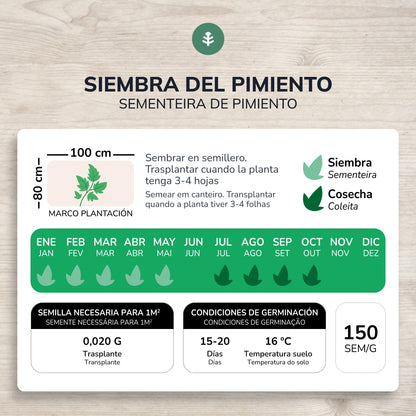 Semillas de Pimiento dulce italiano ecológicas Planeta Huerto