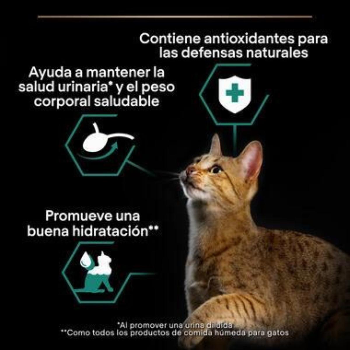 Pro Plan Gato Adulto Sterilised  Maintenance  con pollo y buey en salsa Purina Sobre 10x85g