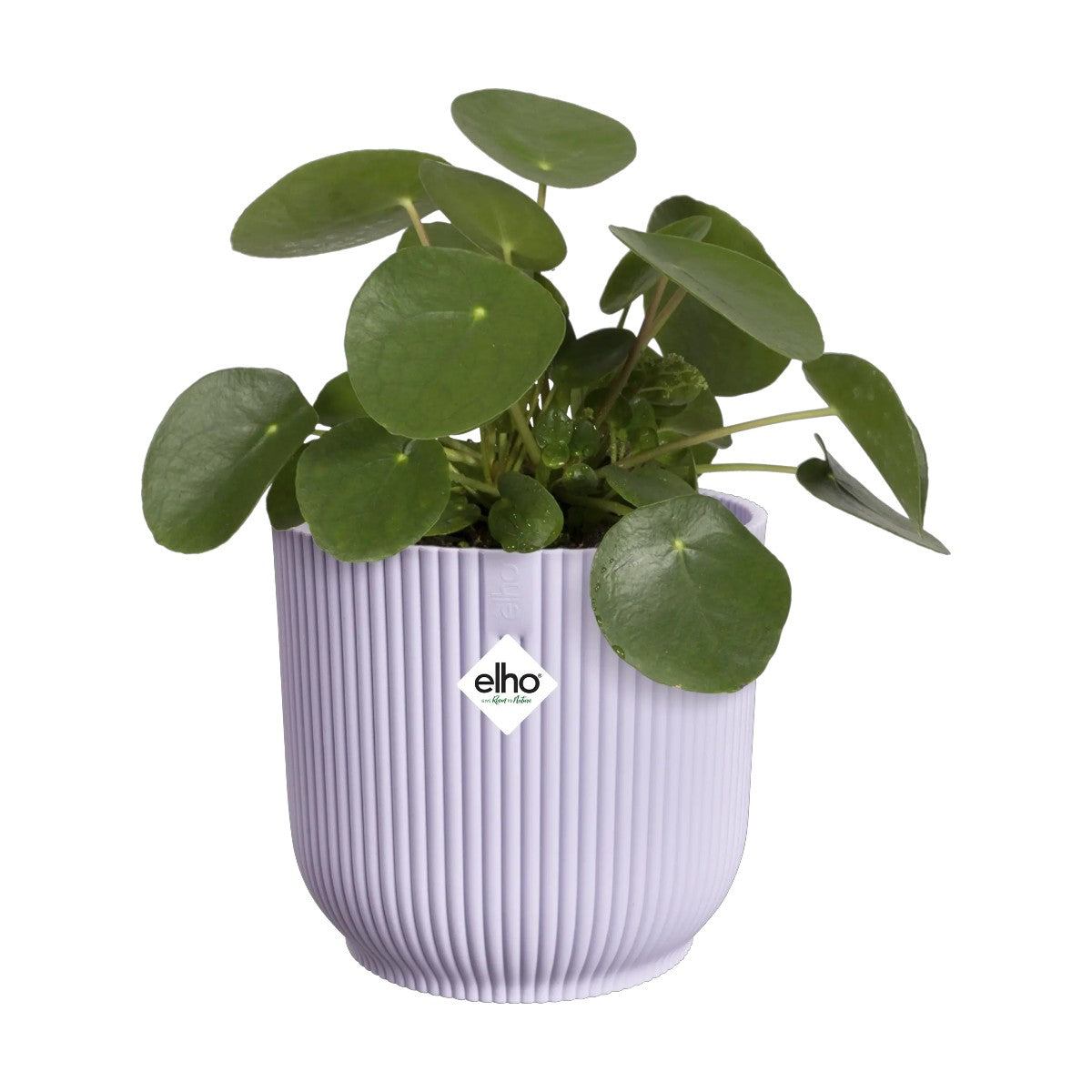 Maceta Violeta Vibes Fold Round Elho 14cm 100% reciclado