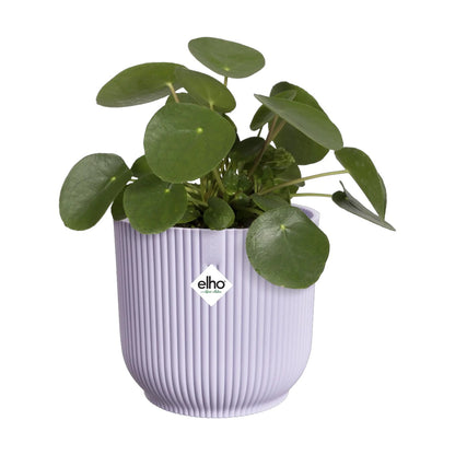 Maceta Violeta Vibes Fold Round Elho 14cm 100% reciclado