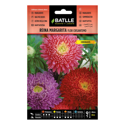 Semillas de Reina Margarita flor crisantemob Batlle