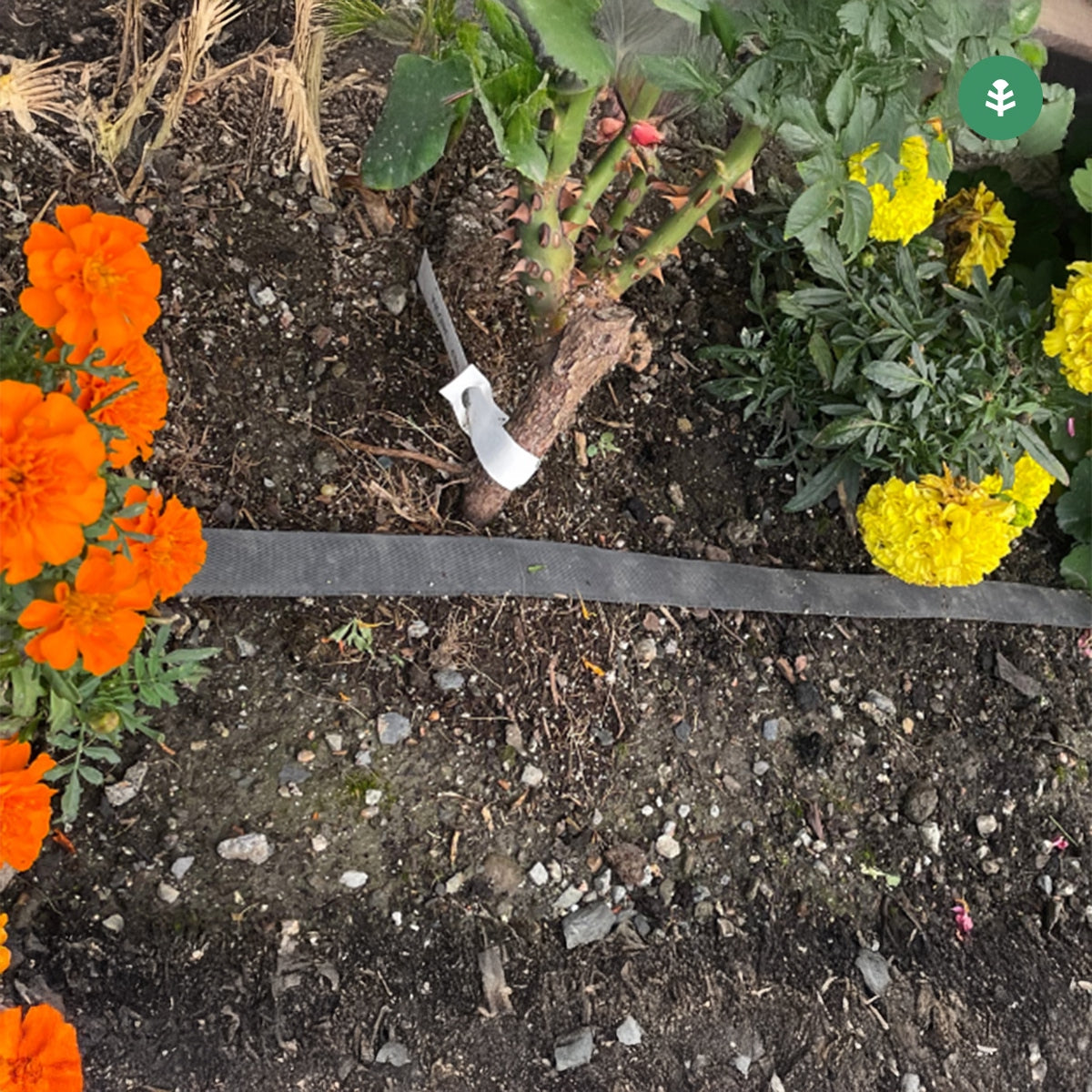 Tubería de Riego por Exudación en Rollo Garden Planeta Huerto 200 m