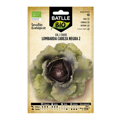 Semillas de de Col lombarda cabeza negra 2 ecológicas Batlle