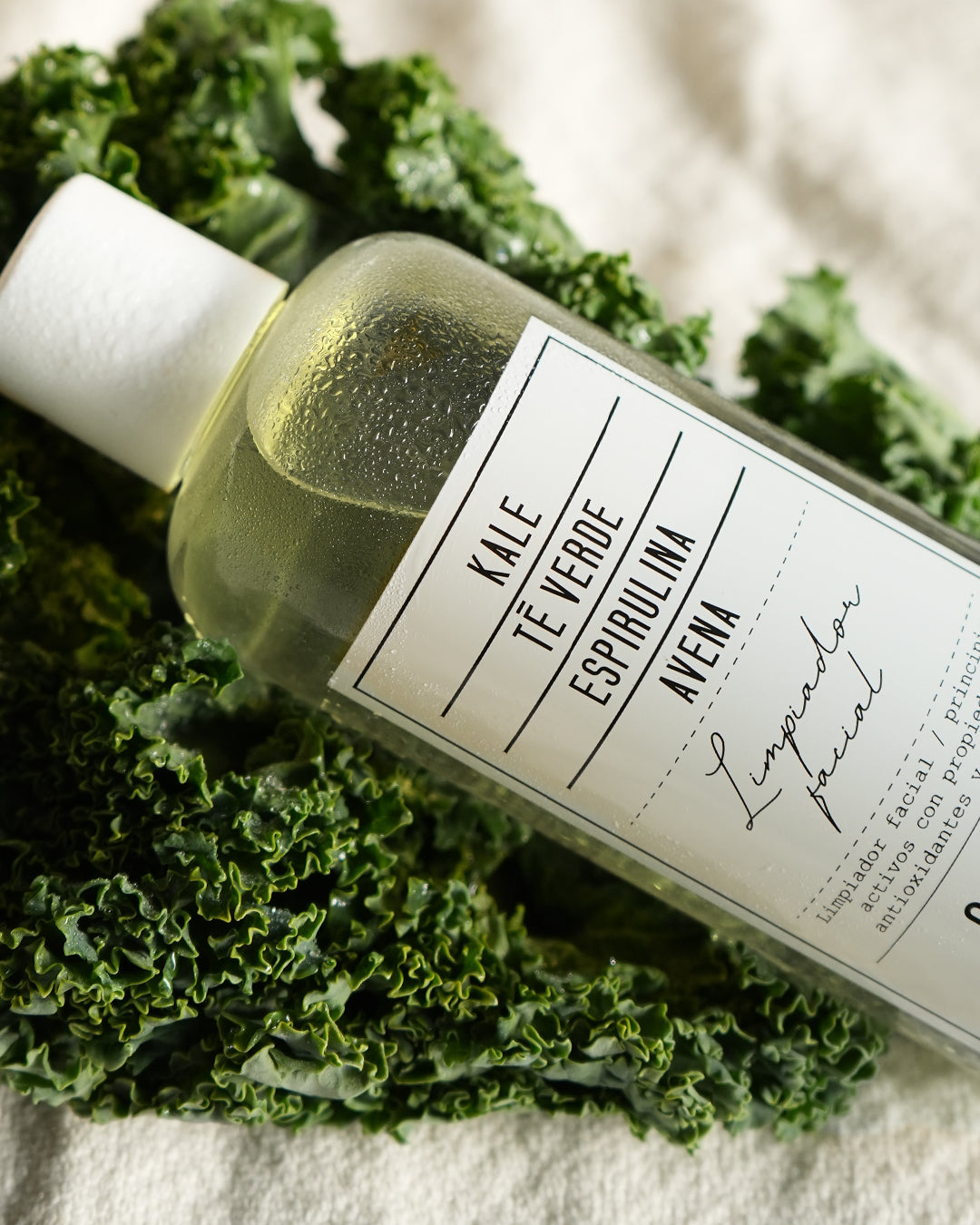 Limpiador Facial Antioxidante, Salad Code, 250ml