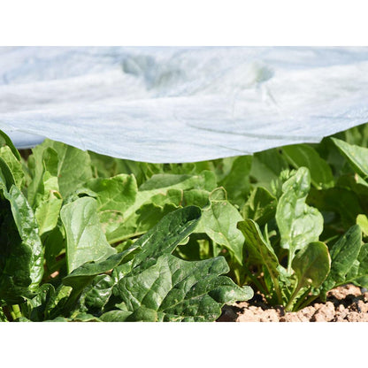Manto protección cultivos Faura 2 x 5 m