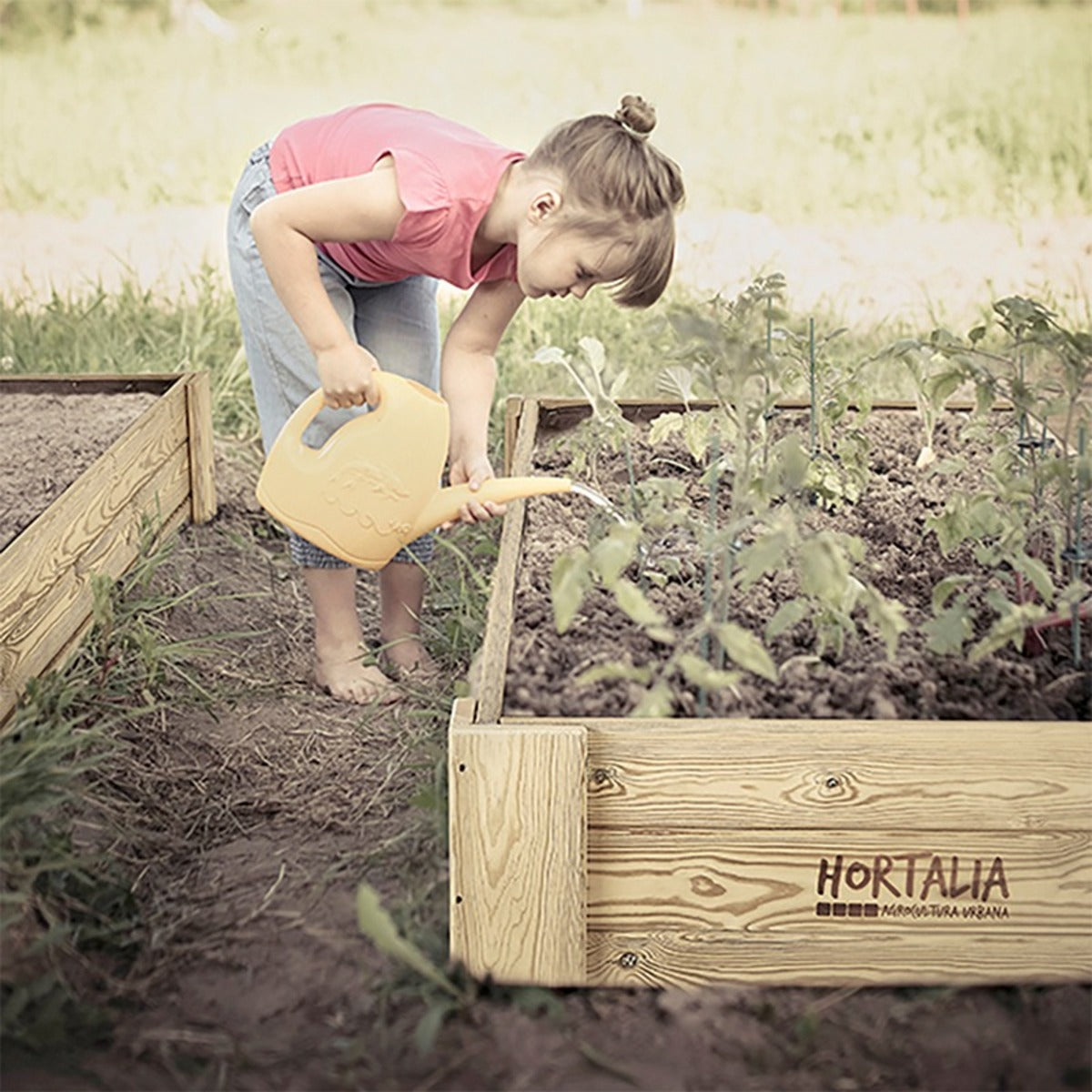 Cajón de cultivo Box XXL30