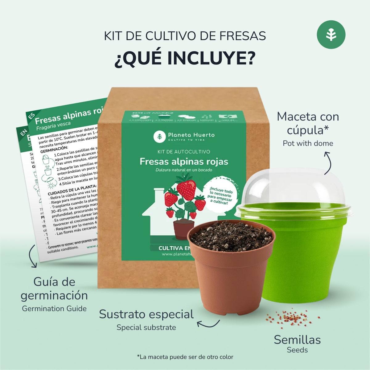 Kit de autocultivo Fresas alpinas rojas Planeta Huerto