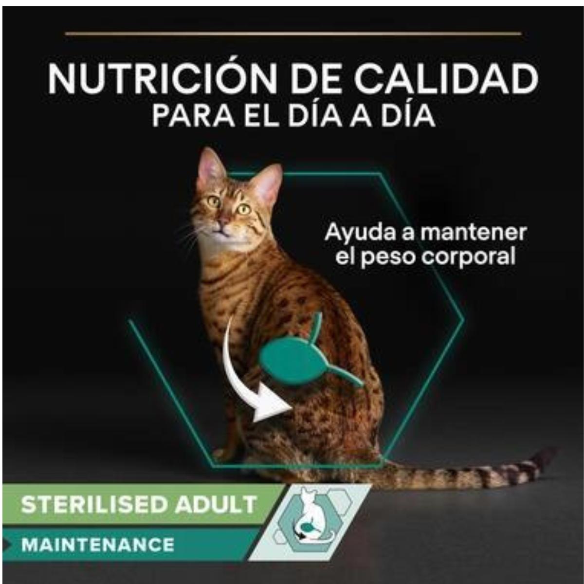 Pro Plan Gato Adulto Sterilised  Maintenance  con pollo y buey en salsa Purina Sobre 10 x 85 g
