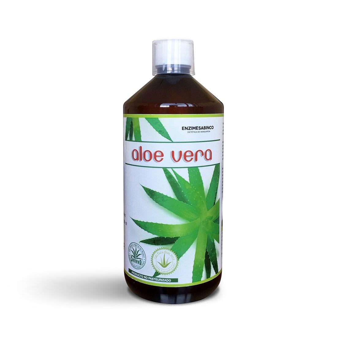 Aloe Vera 100% Pulpa 1 Litro Enzimesab
