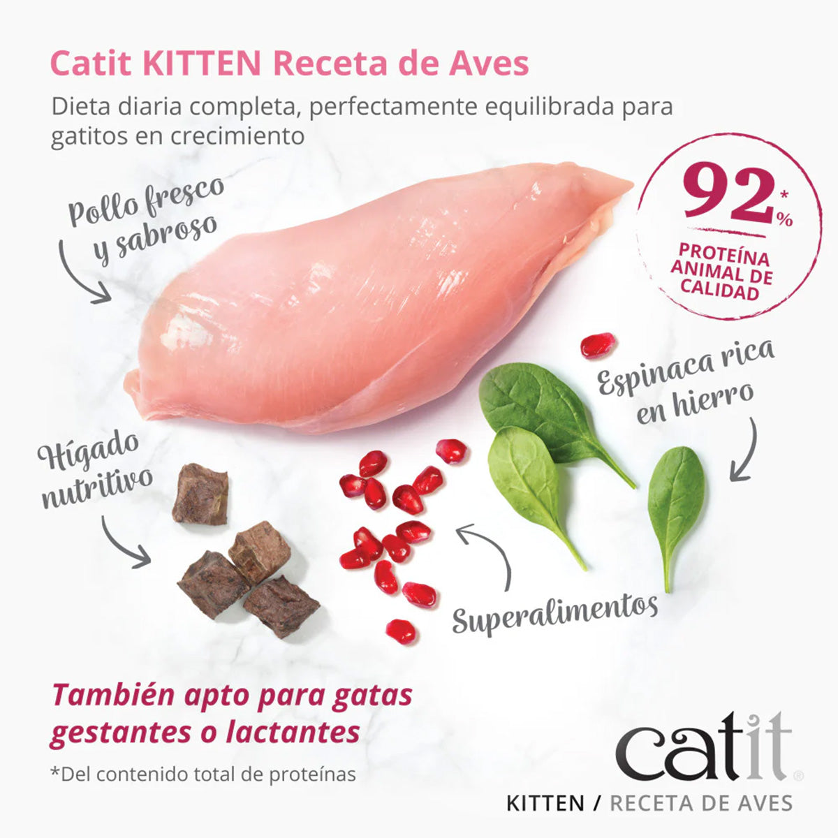 Pienso para gatitos con pollo Recipes 2 kg Catit
