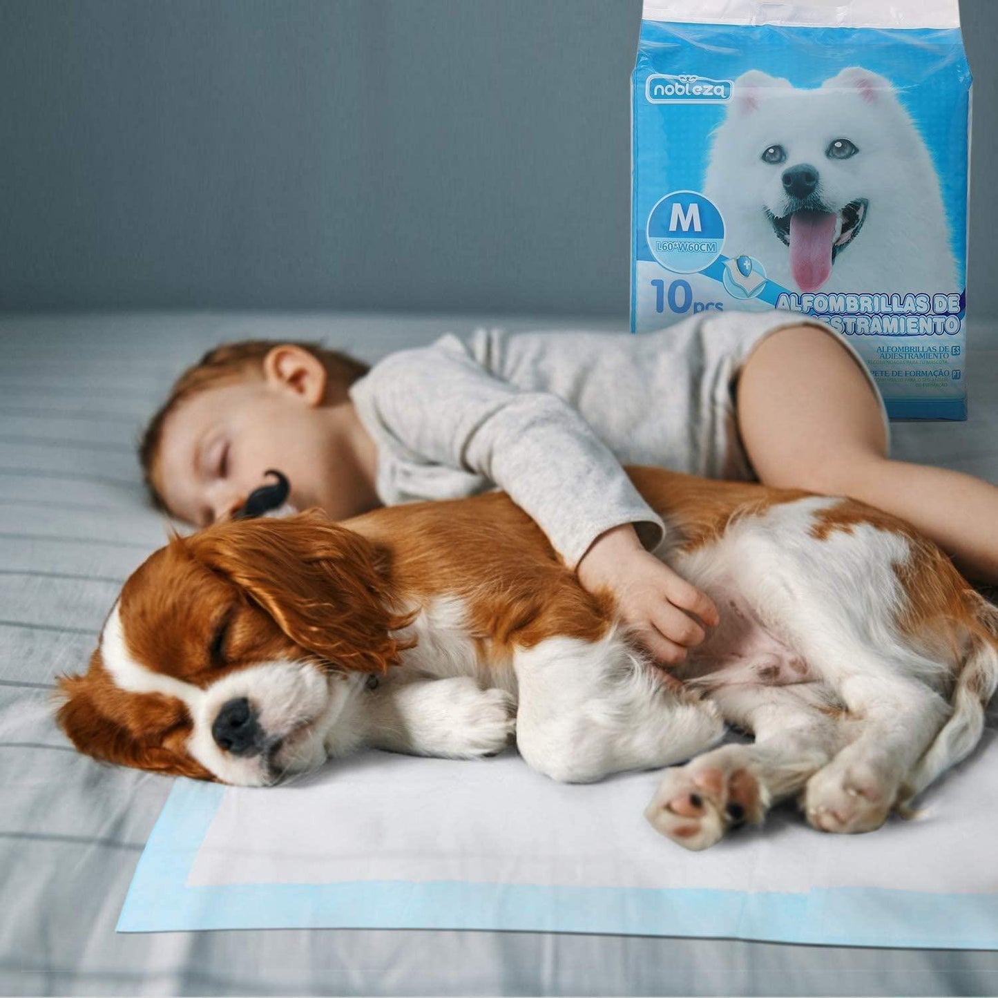 Alfombrillas de adiestramiento para mascotas con cinta adhesiva 40 x 60 Nobleza 10 ud