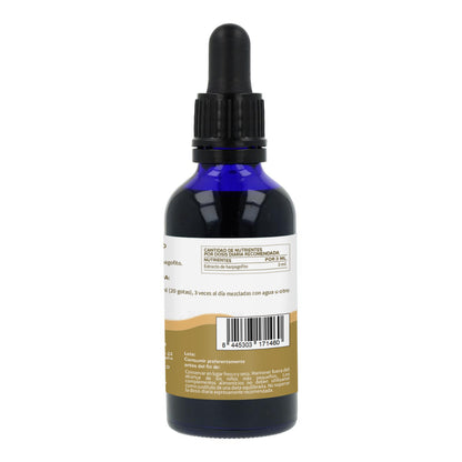 Extracto de Harpagofito Planeta Huerto 50 Ml.