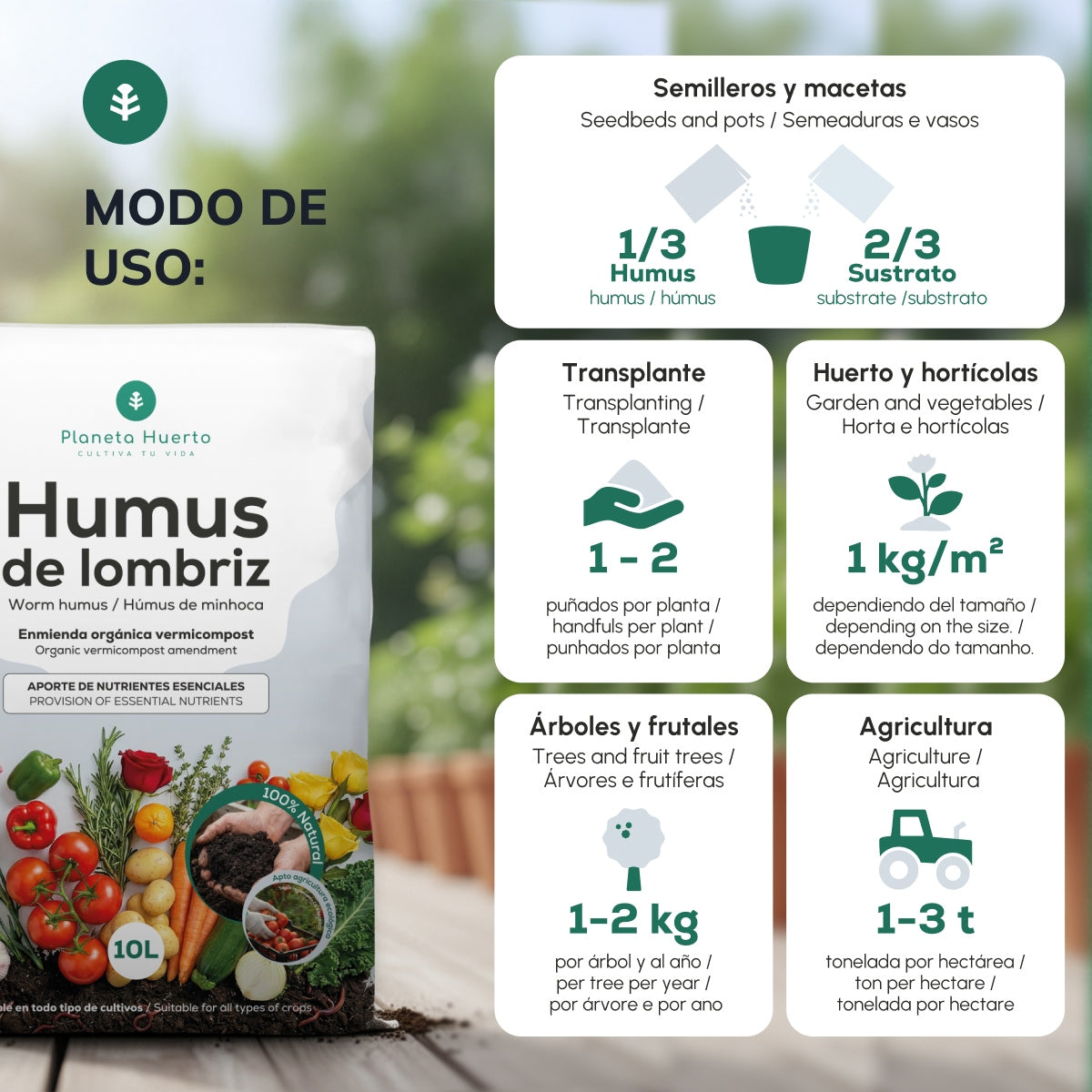 Pack grande “Mi mesa de cultivo de otoño”