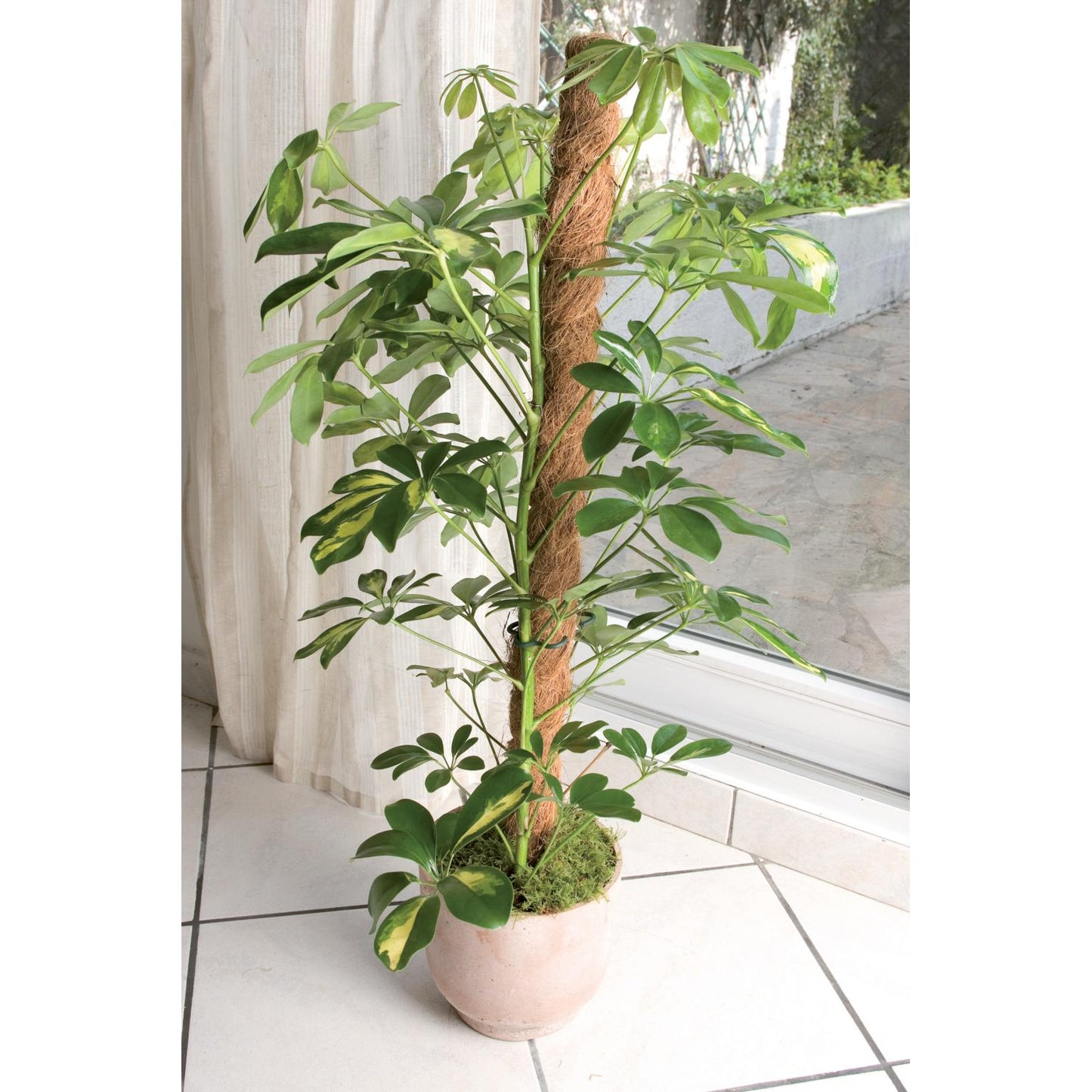 Tutor de coco natural Ø 45 mm Nortene 120 cm