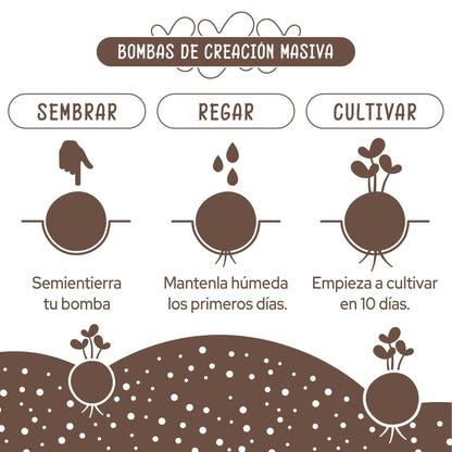 Bombas de semillas Huerta Mediterránea
