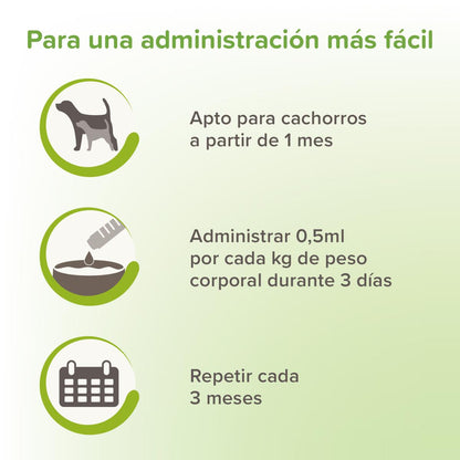 VERMIpure antiparasitario natural perros y cachorros Beaphar 50 ml