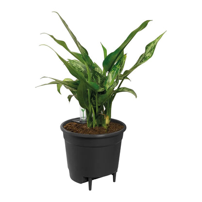 Sistema de Riego automático Elho Insert 15cm Living Black 100% reciclado