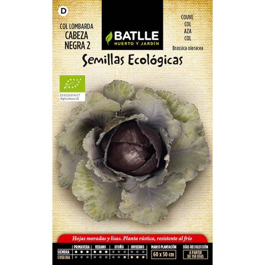 Semillas Col lombarda cabeza negra 2 Batlle
