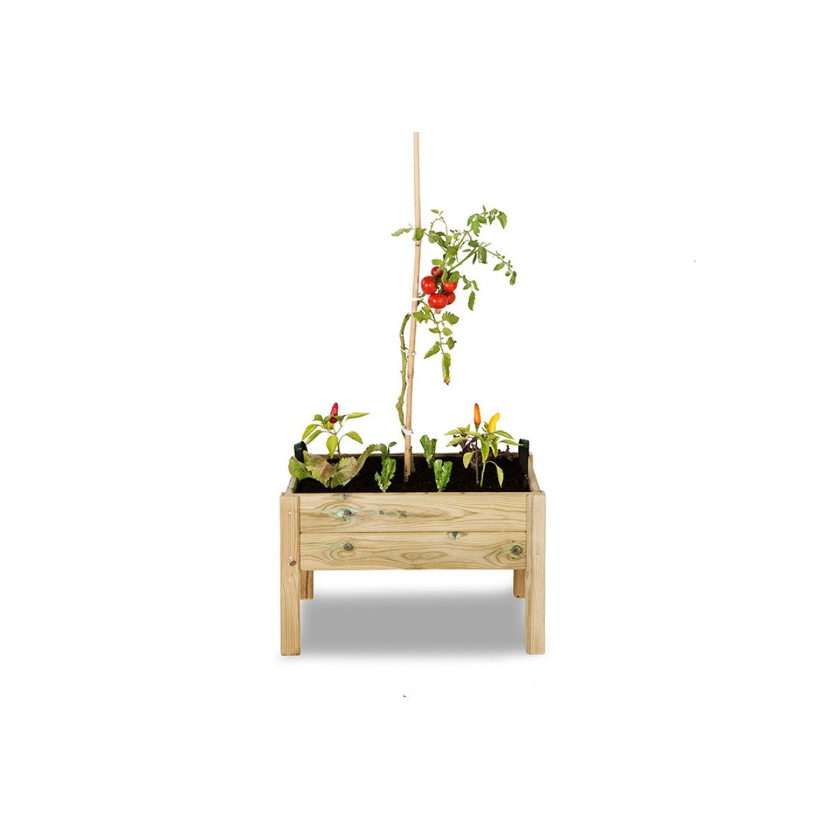 Kit de mesa de cultivo infantil Leo Hortalia