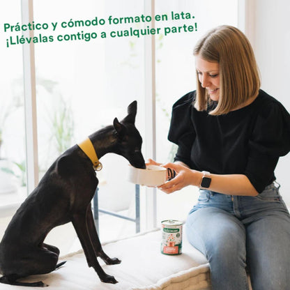 Pack 6X Guiso del pescador salmón y cerdo para perros Wild Balance 400 gr