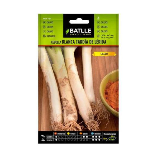 Semillas de  Calçots - Cebolla blanca tardia de Lérida