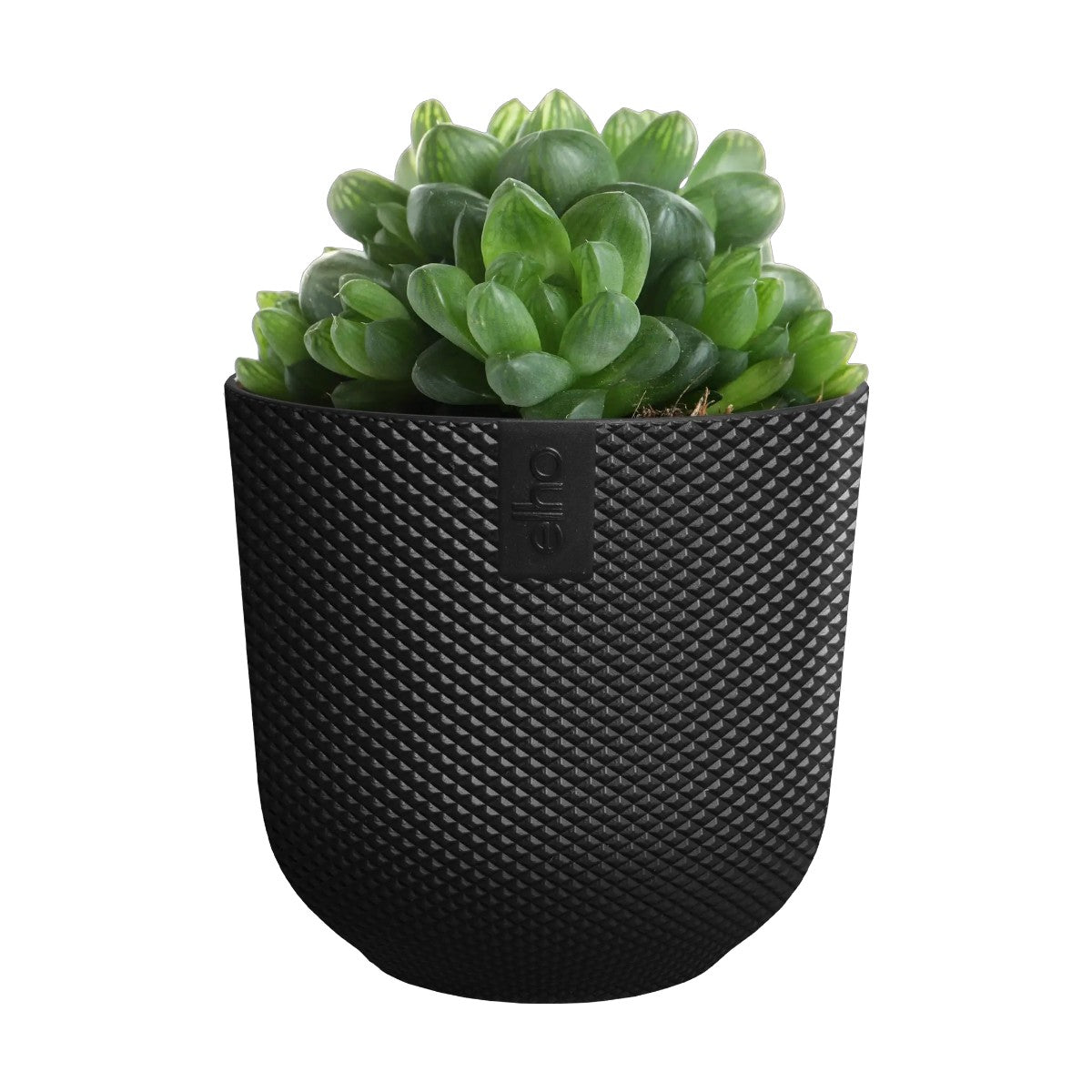 Maceta Antracita Jazz Round Mini Elho 11cm 100% reciclado