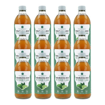 Pack 12x Kombucha ECO té verde y lima Planeta Huerto 330 ml