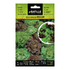 Semillas de  Lechuga Mesclum