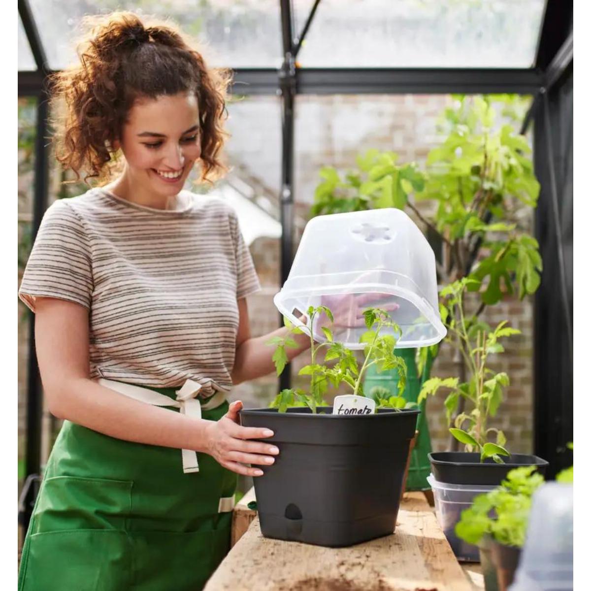 Maceta de cultivo ALLIN1 Green Basics Elho Antracita 15 cm