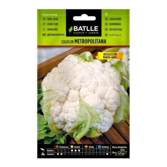 Semillas de  Coliflor Metropolitana