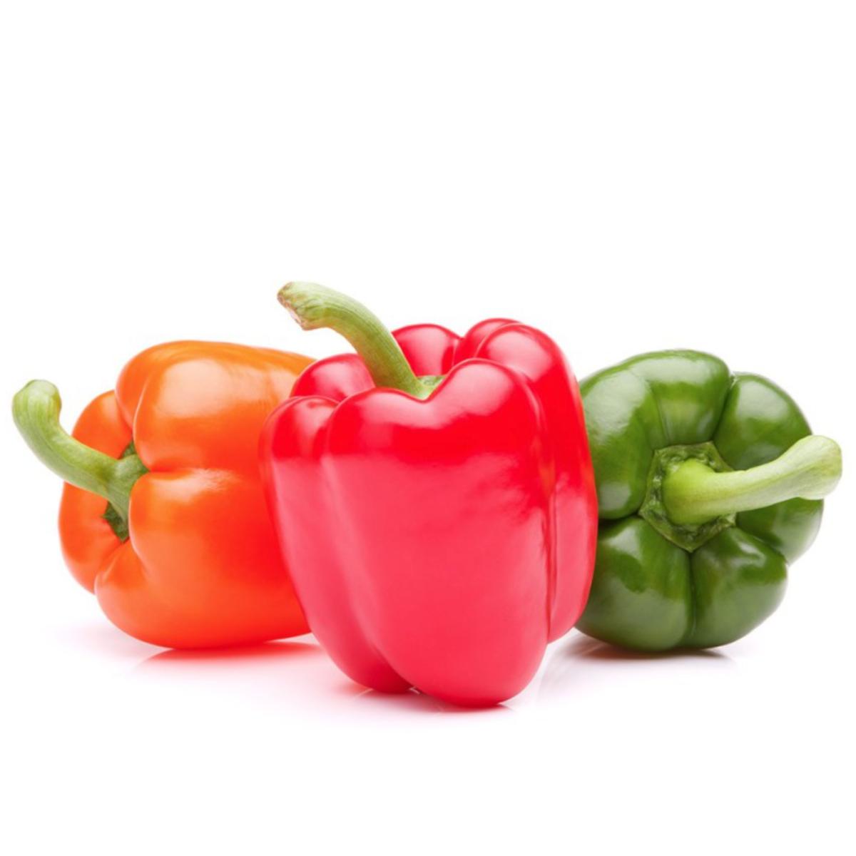 Plantón de Pimiento de asar en maceta 11 cm