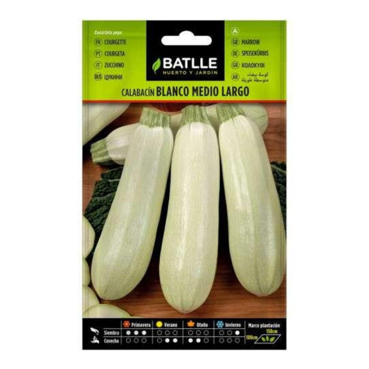 Semillas de  Calabacín blanco medio largo