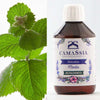 Hidrolato de menta BIO Camassia