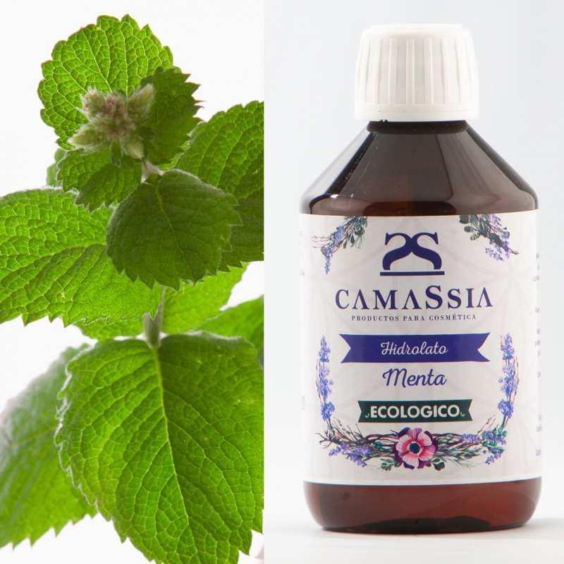Hidrolato de menta BIO Camassia